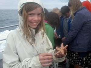 Finding a sea star